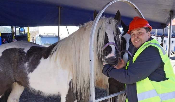 Hestane kom ivrig bort då hestetrenar og teknisk sjef for sirkuset, Peter Taylor, tok seg ein pause frå teltrigging. Foto: Marie Kroka