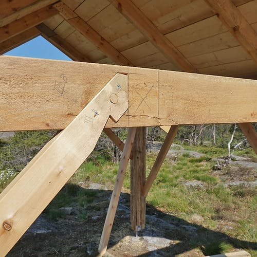 Bua vart først bygd av Harald Døsen til Handverksdagen ifjor. (Foto: KOG)
